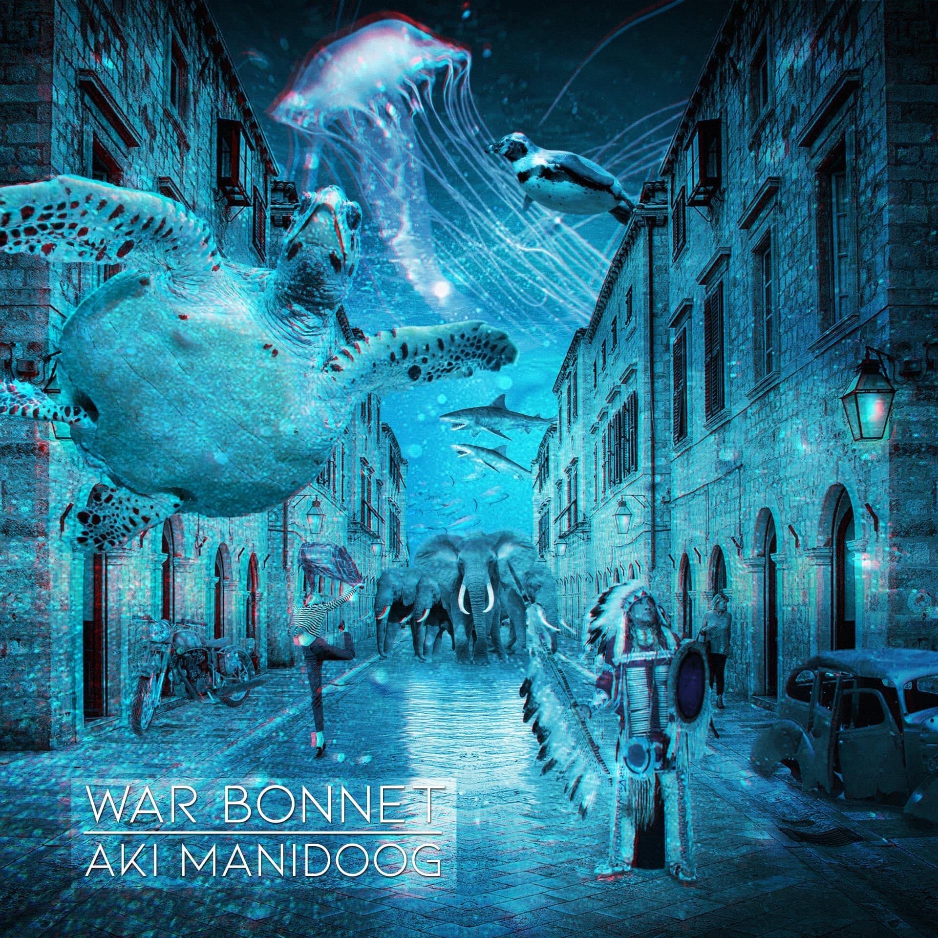 Aki Manidoog